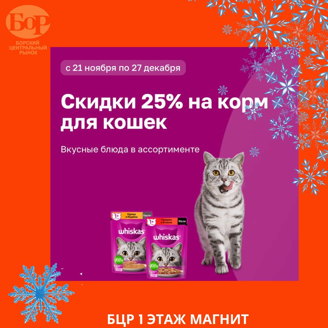 -25% на кошачий корм